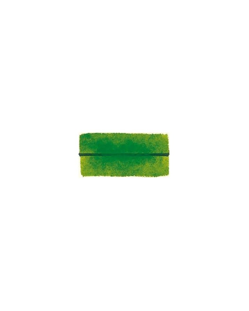 Vert de Vessie - 361