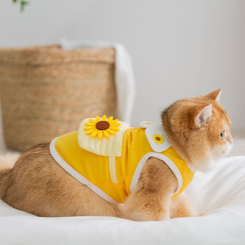 Cissilli - Bloemen Pet Top (Diverse ontwerpen)
