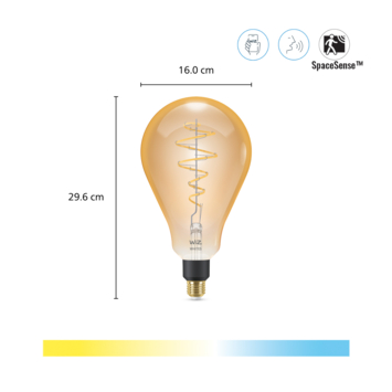 WiZ Connected LED giant peer E27 25W filament gold koel tot warmwit licht dimbaar