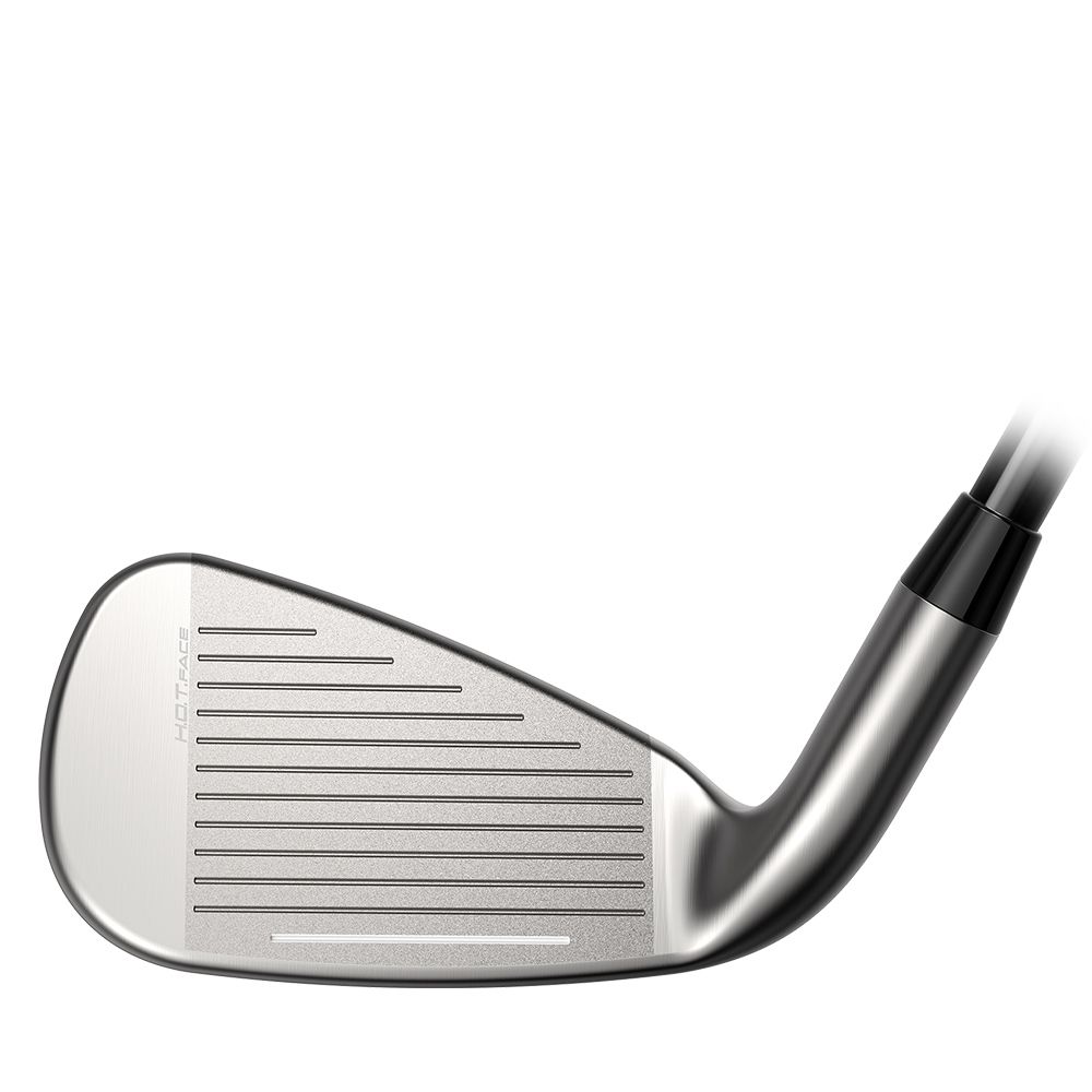 DS-Adapt MAX Wedge Grafitt