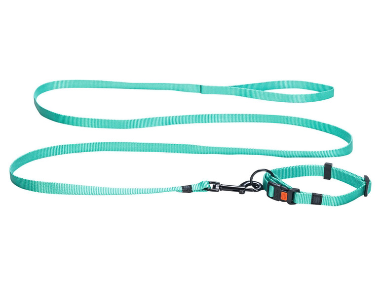 Halsband met lijn