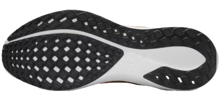 Pegasus 41 Hardloopschoen Heren