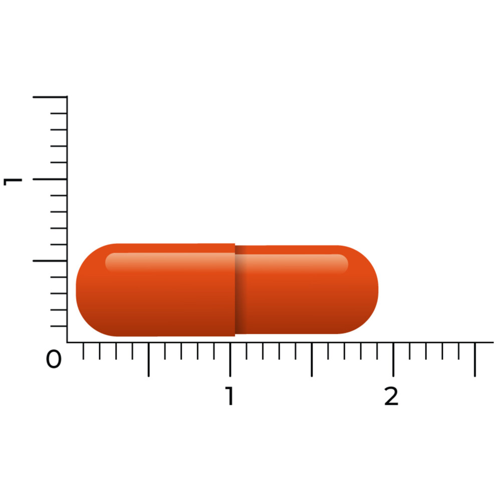 2x Vitakruid Prostaatformule 60 capsules