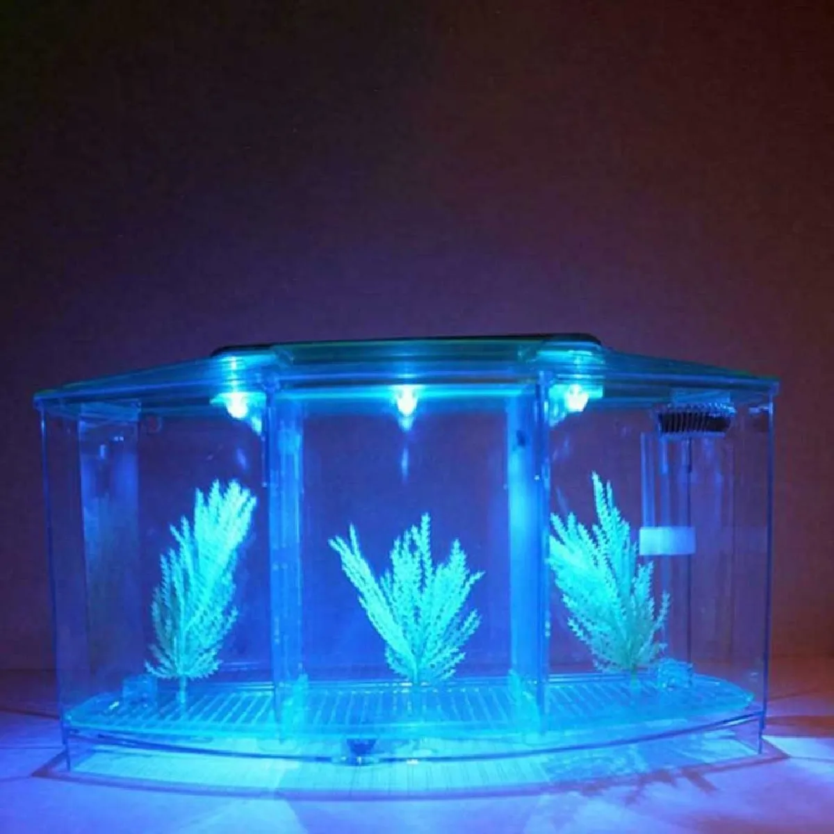 Universal Aquarium Portatif LED Multicolore