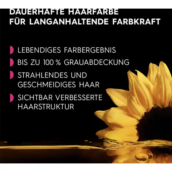 Dauerhafte Haarfarbe Coloration 4.62 Kaschmirrot Vorteilsset