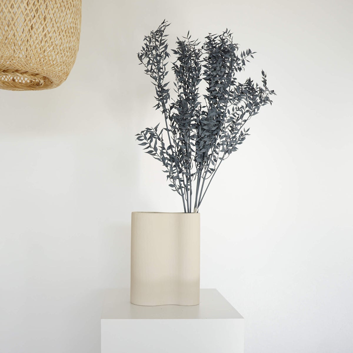 Slagersbezem (Ruscus) geconserveerd in diverse kleuren - 5 stuks