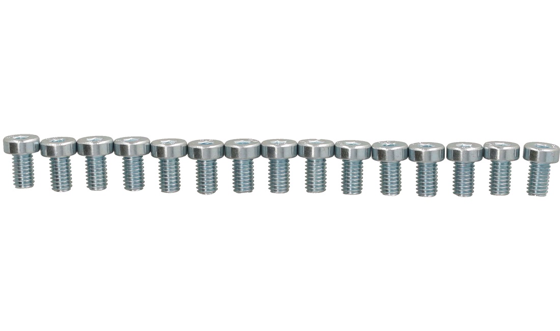 Unbraco bolte 6x10 mm - 15 stk.