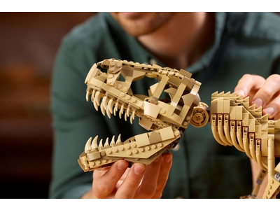 LEGO Dinosaurusfossielen: Tyrannosaurus rex (76968)