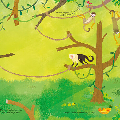 Uitgeverij usborne eerste stickerboekje dierentuin
