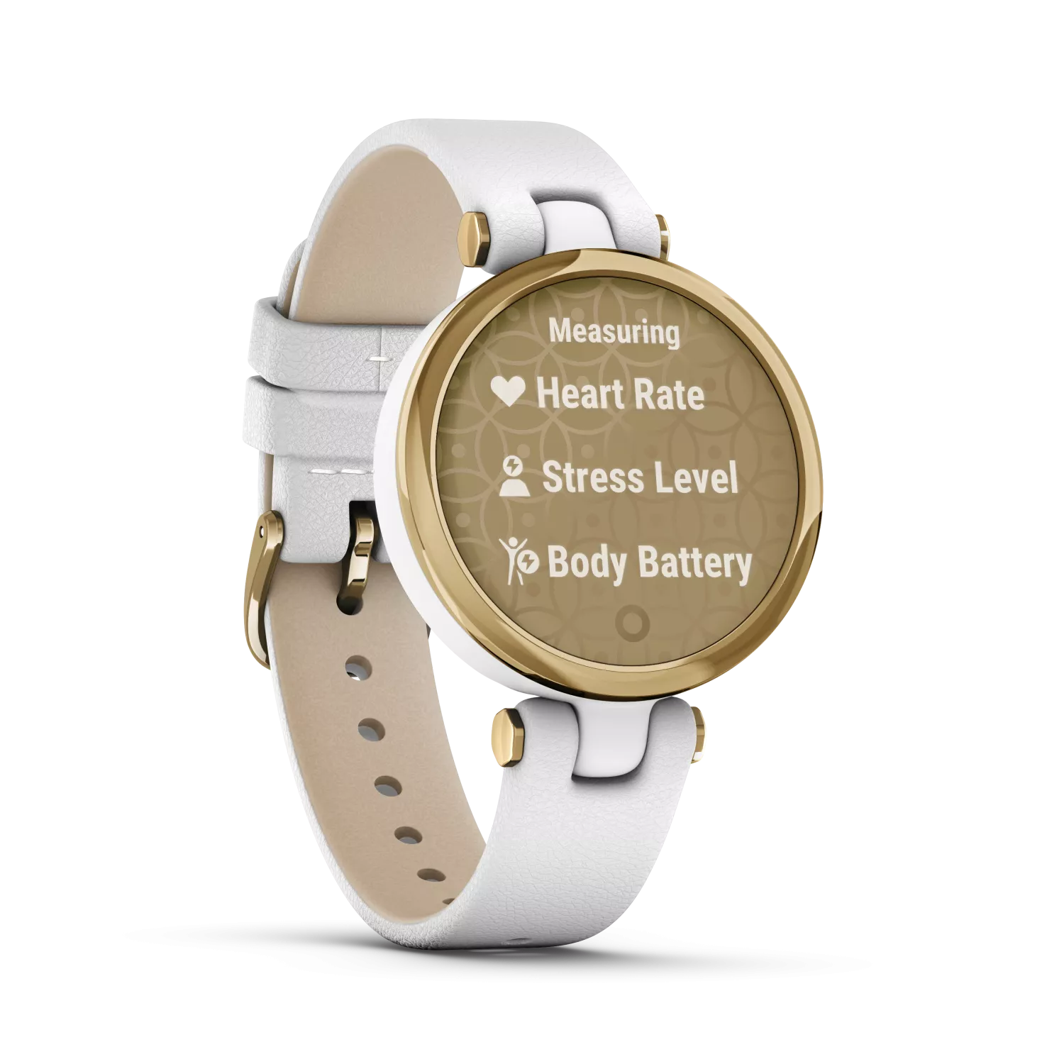 Garmin Lily 010-02384-B3