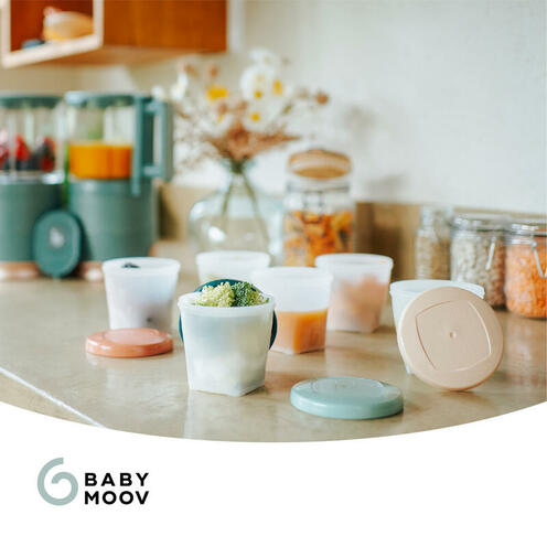 Babybols Biosources 6 x 250 - BABYMOOV