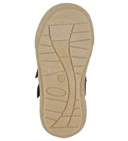 Angulus Lauflernschuh - Dark Brown