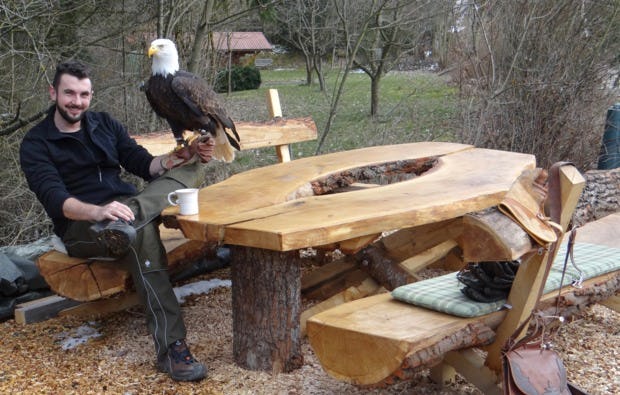 Falkner für einen Tag Greifvogel