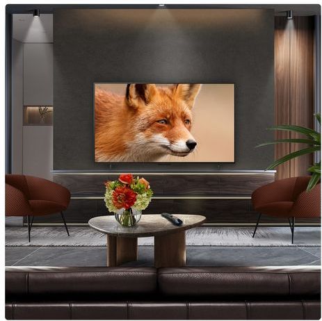 LG - OLED evo TV 4K OLED48C54LA - 48 inch - OLED - 2025