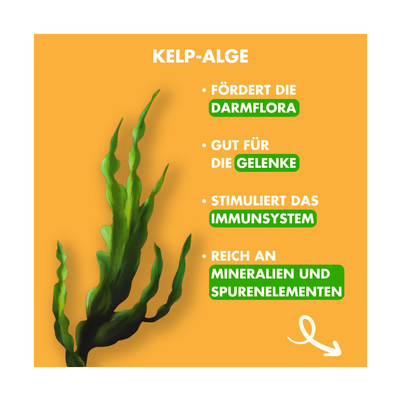 Irish Pure Chicken Strips mit Kelp-Alge