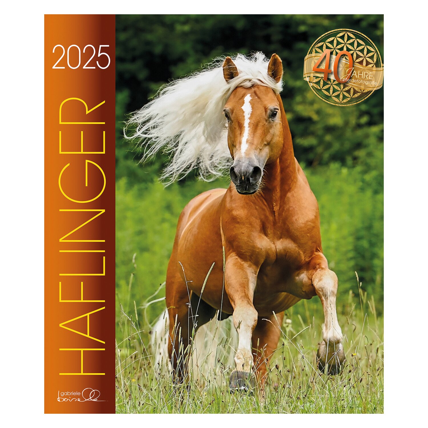 Kalender Haflinger - Edition Boiselle 2025