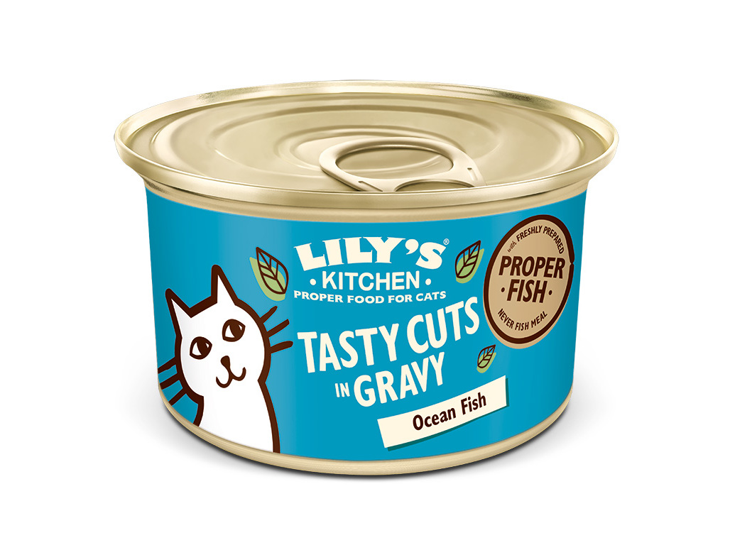 COMIDA HÚMIDA PARA GATO LILY'S KITCHEN PEIXE DO OCEANO 85G