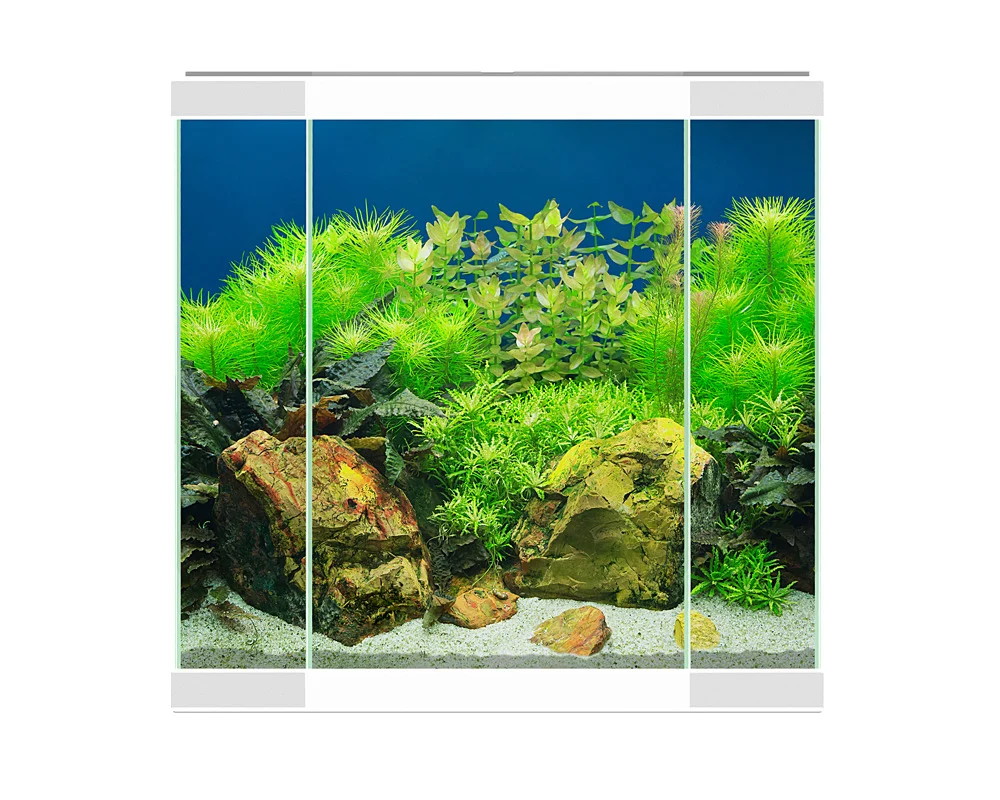 Aqua 30 LED Branco Ciano - Conjunto completo com LED, filtro e consumíveis