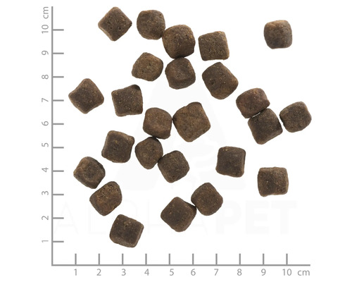 Wolfsblut Dark Forest Adult droog hondenvoer, Wild met zoete aardappelen en waardevolle superfoods, graanvrij, glutenvrij, 2 kg