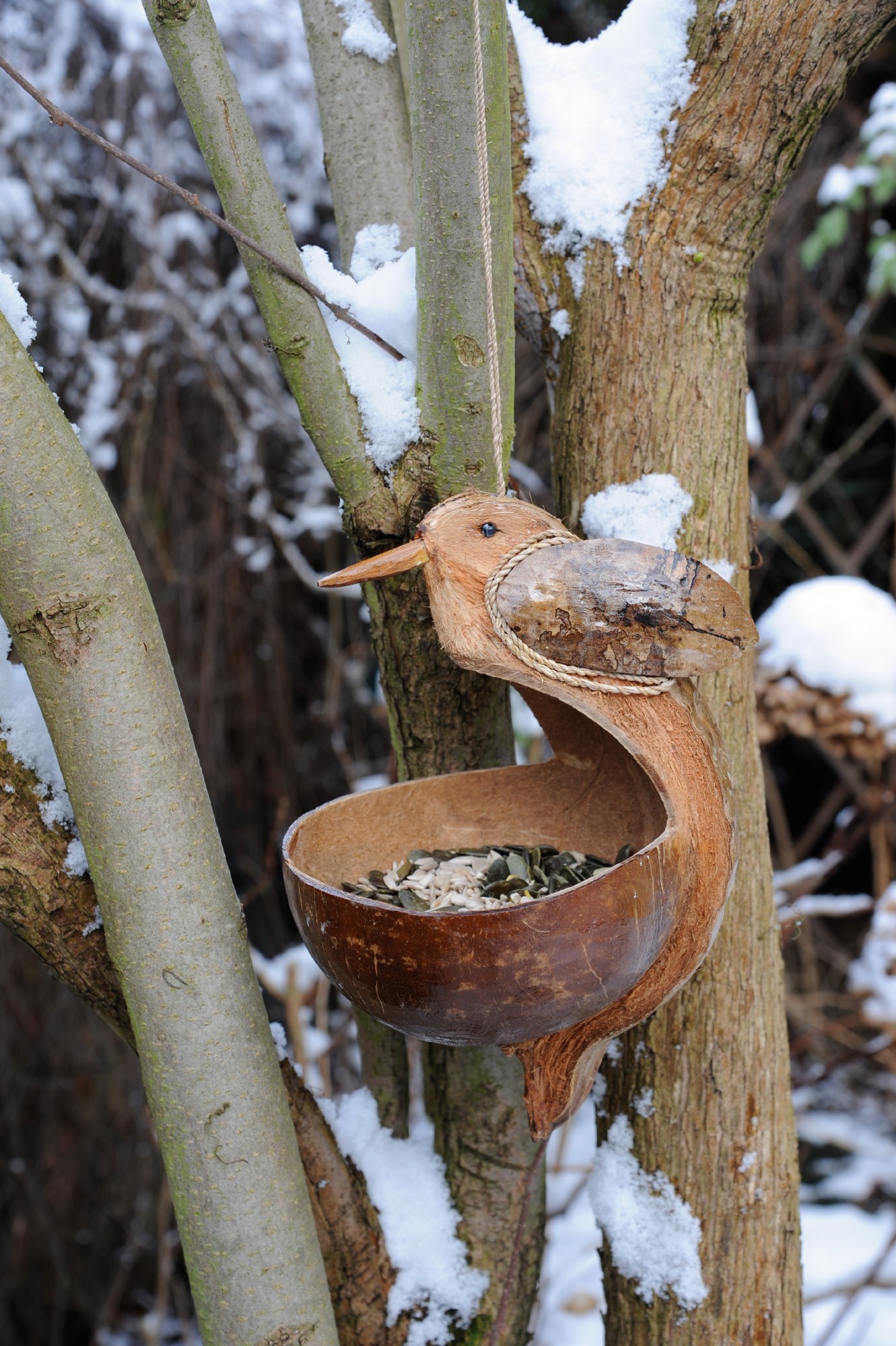 Vogelfutterschale, aus Kokosnuss geschnitzt, H 22 cm, Ø 16 cm günstig bestellen