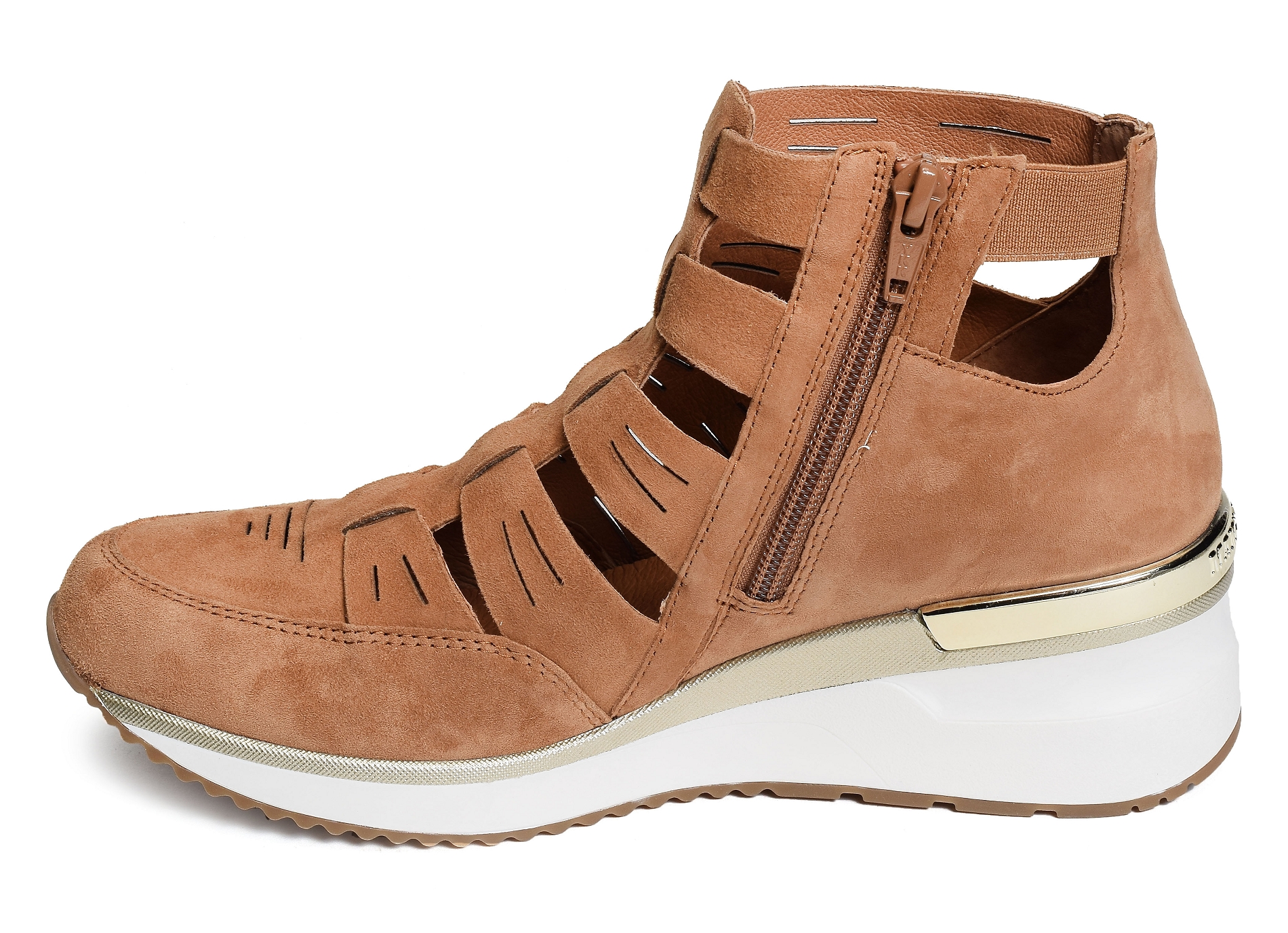 Vacano camel
