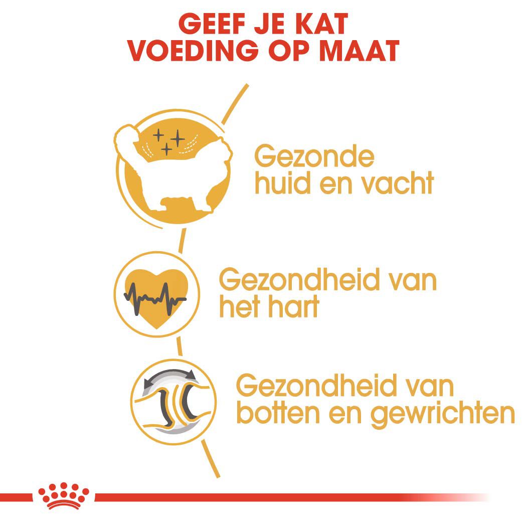 Royal Canin Ragdoll Adult - Kattenvoer - 10 Kilogram - Gevogelte