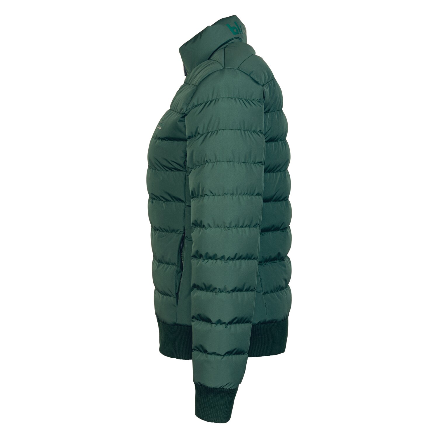 black forest Steppjacke mit Stehkragen  - race green