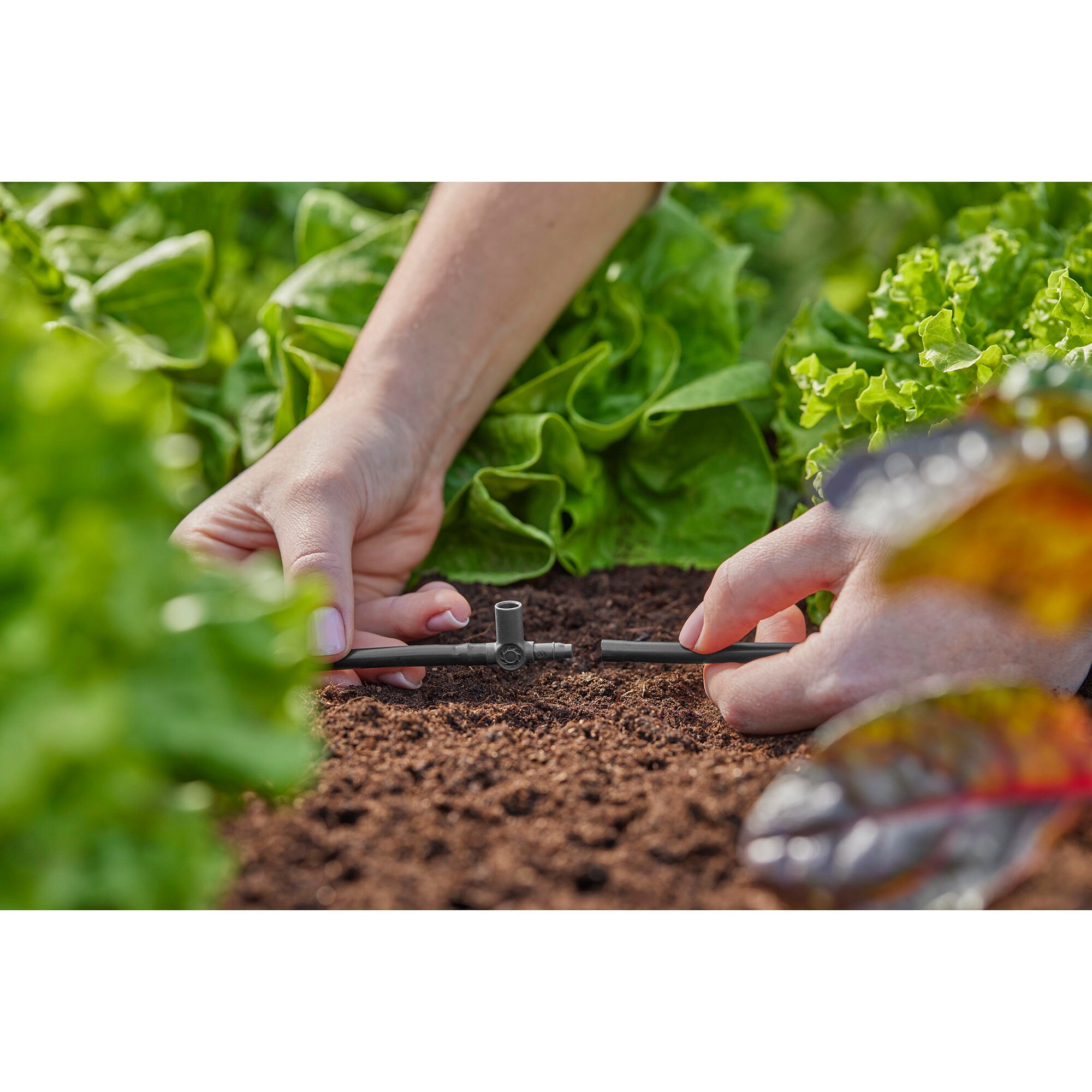 GARDENA Verbindung Micro-Drip-System T-Stück für Sprühdüsen/Endtropfer, 4,6mm (3/16