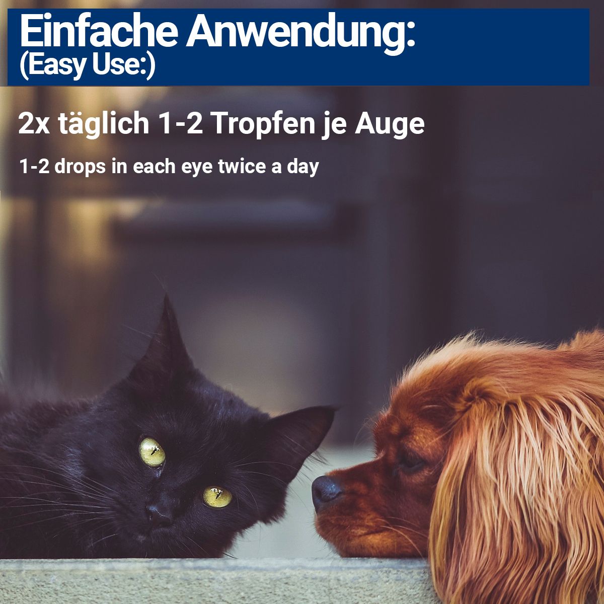 BMUT Augentropfen für Hunde & Katzen mit kolloidalem Silber