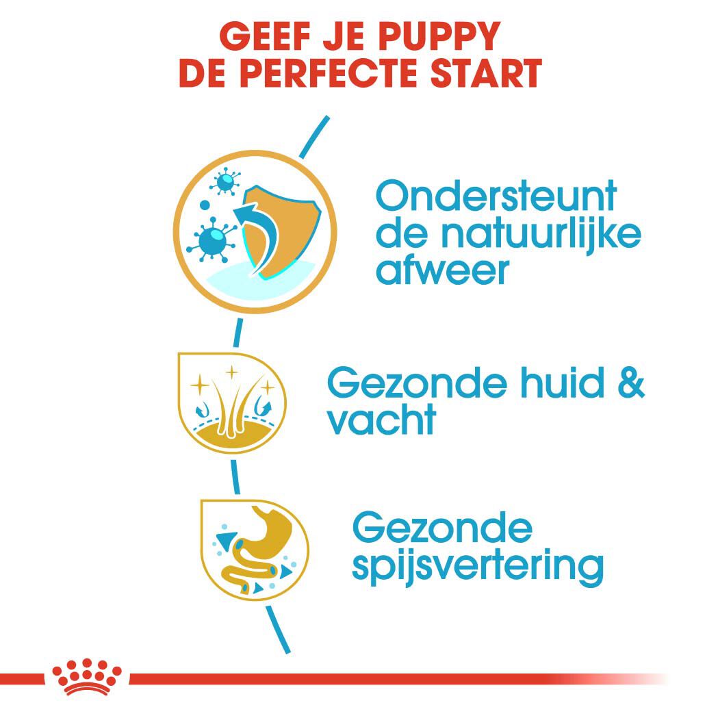 ROYAL CANIN® Rasvoeding - Hondenvoer - 1500 Gram - gevogelte