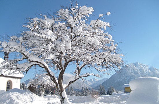 Kurzurlaub mit Schneeschuhwanderung für 2