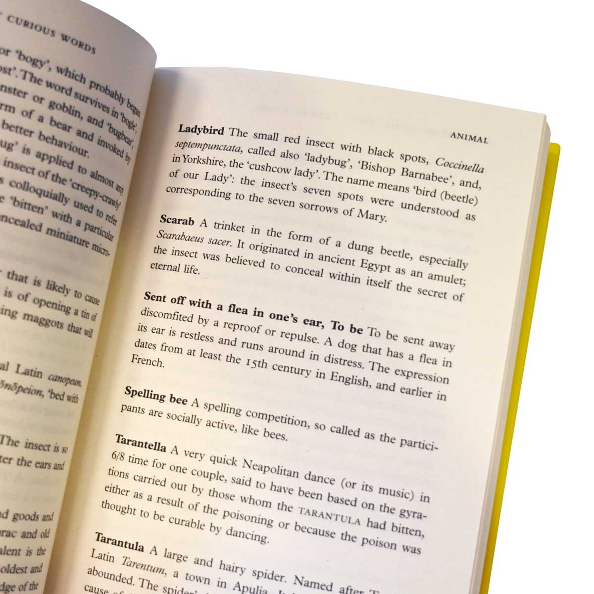 Interesting Stories about Curious Words: From Stealing Thunder to Red Herrings: Signed edition (Hardback)