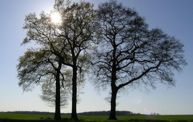 Fotokurs in Olfen als Geschenk