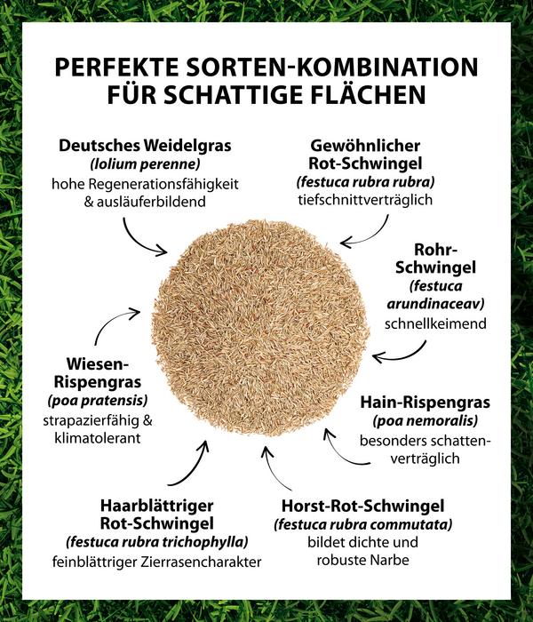Dehner Saatgut Schattenrasen