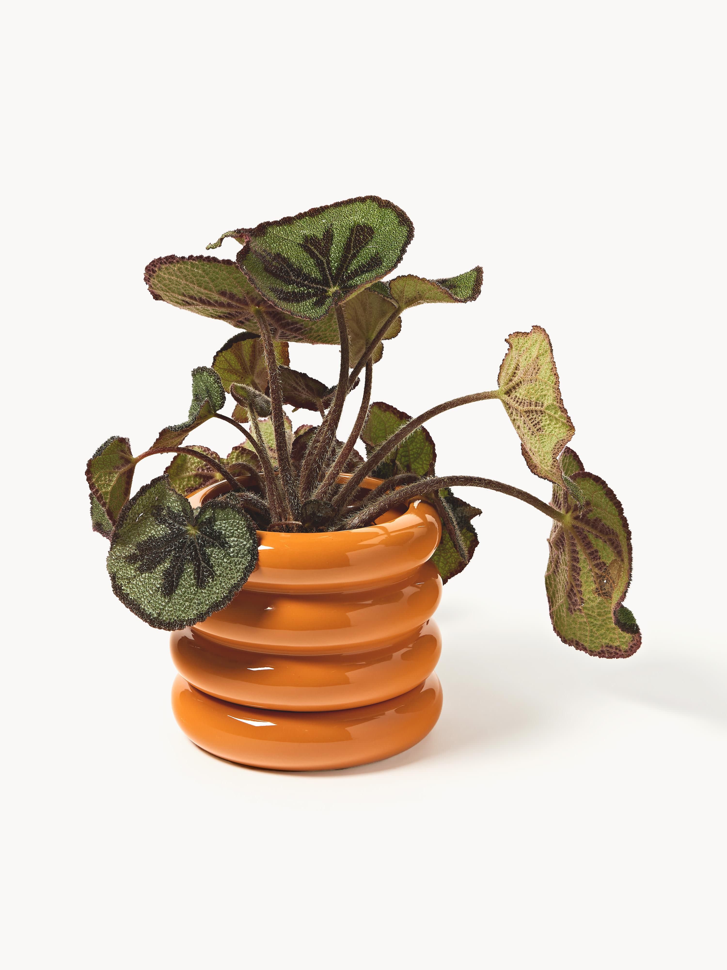 Kleine plantenpot Rudi van keramiek, H 16 cm