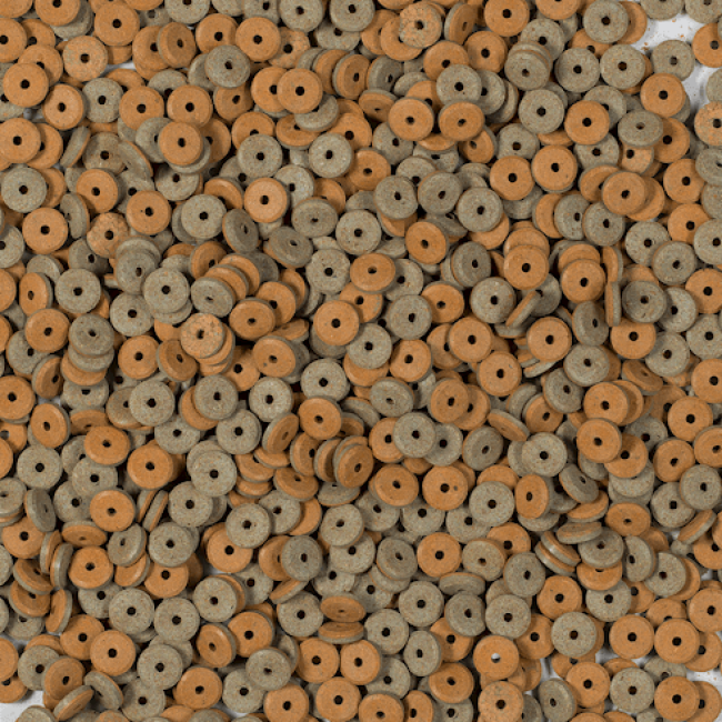 Alimentation Tetra FunTips Tablets pastilles pour poissons