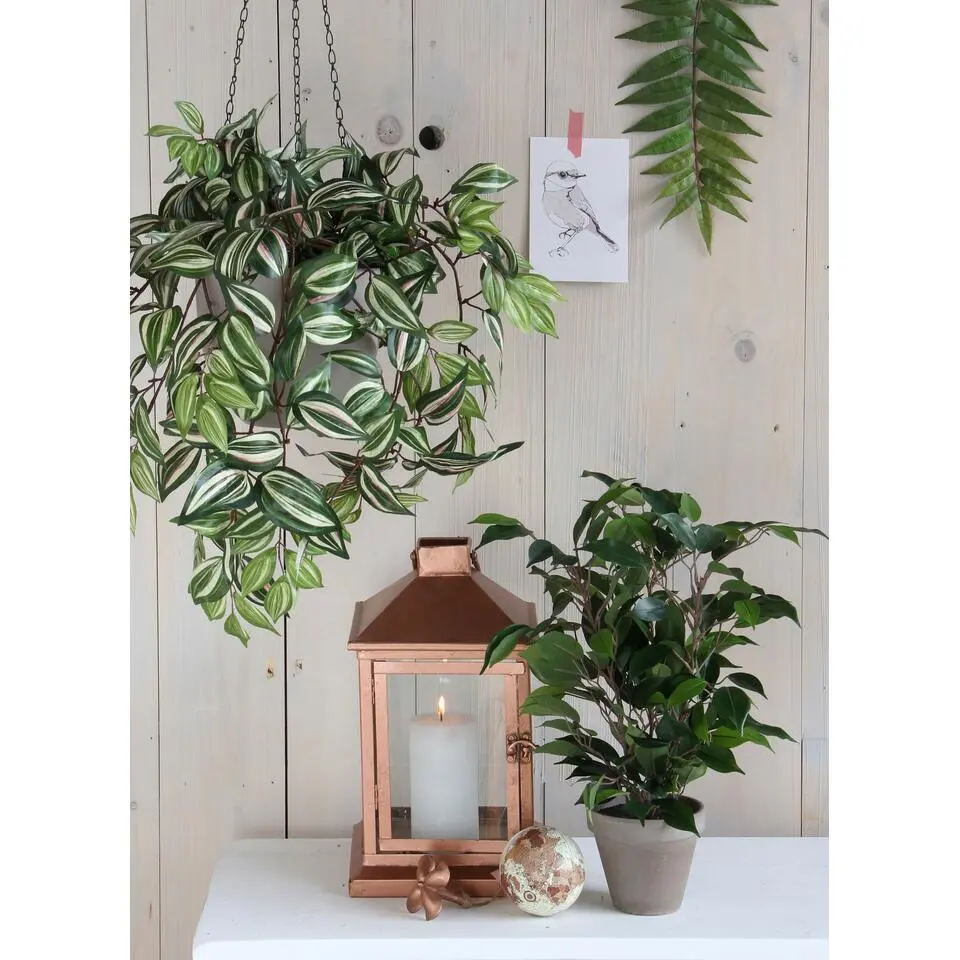 Mica Decorations Kunstplant Ficus - groen - 40 cm - voor binnen