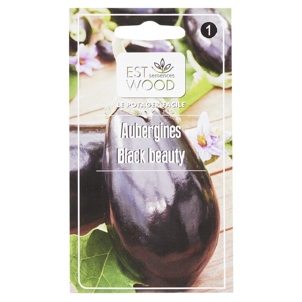 Semence d'aubergine Black Beauty