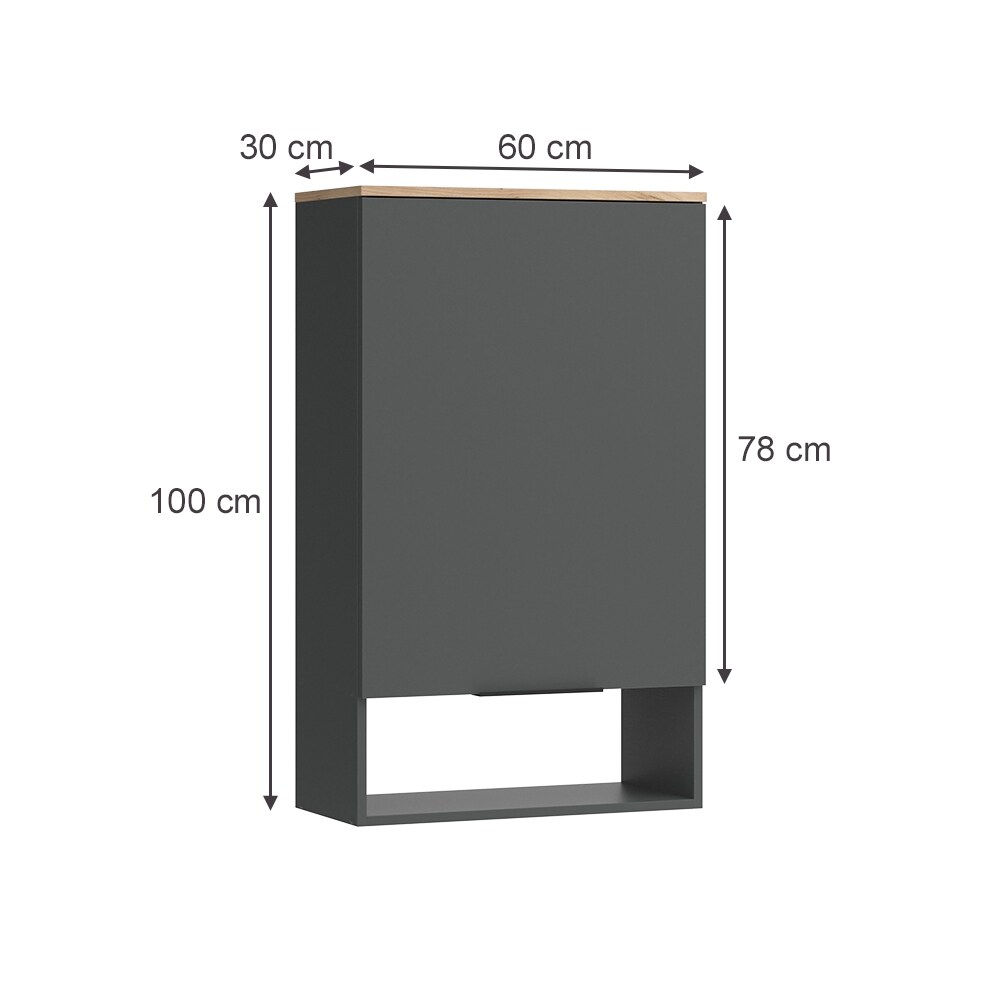 Vicco Hängeschrank Wido Anthrazit Eiche 60 x 100 cm mit Tür