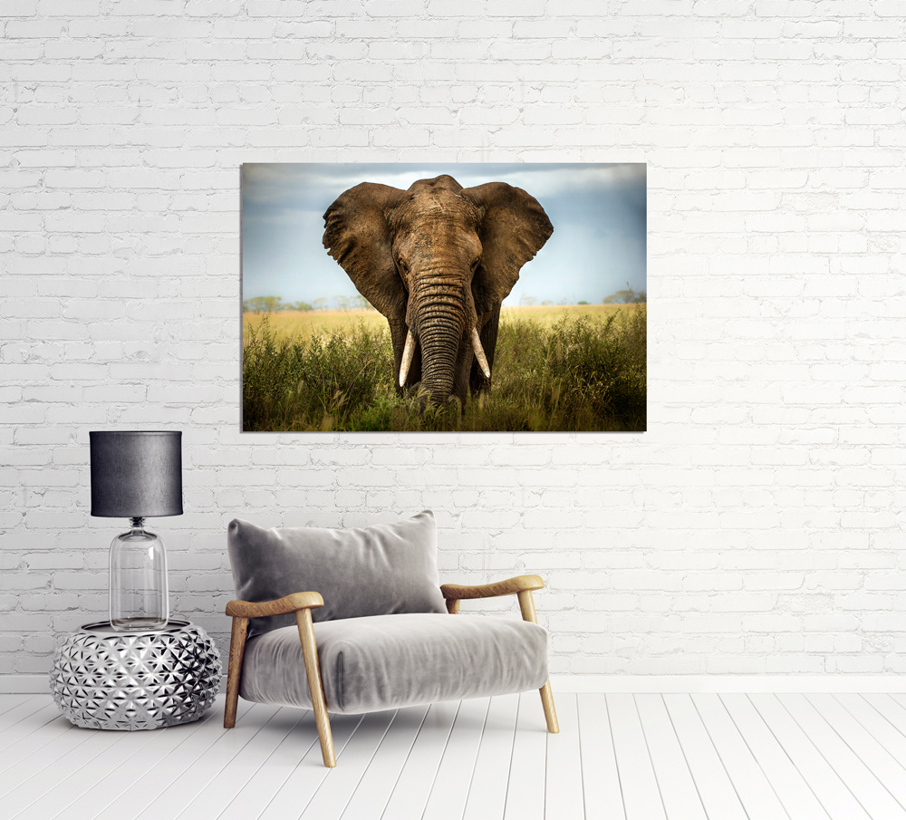Akustikbild GROßER ELEFANT 80x120cm, 7kg