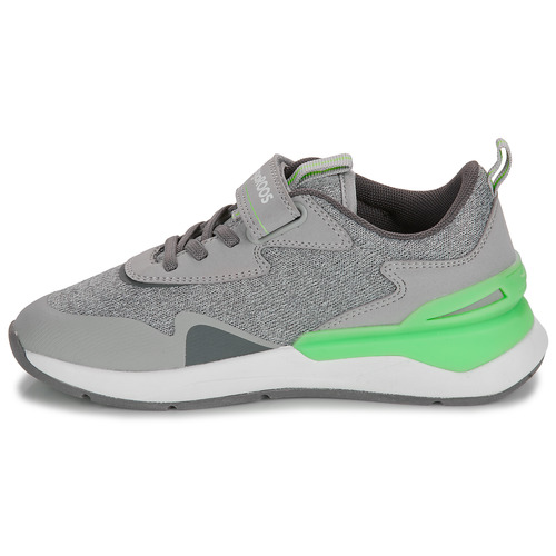 Kangaroos - KD-Gym EV - Gris / Vert