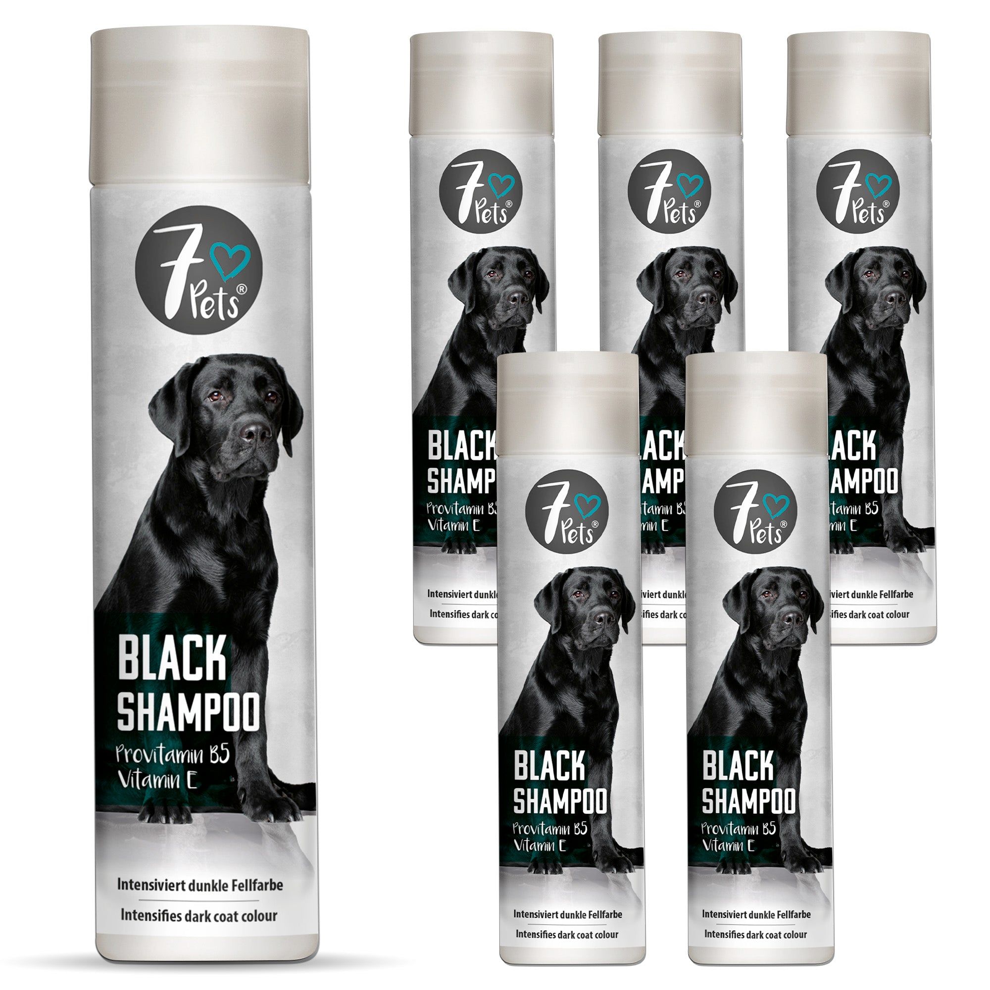 SILBERKRAFT Black Shampoo