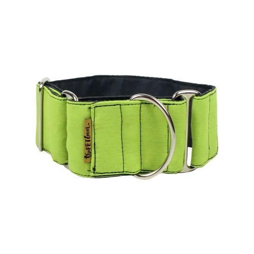 Coleira Martingale para cães na cor pistache