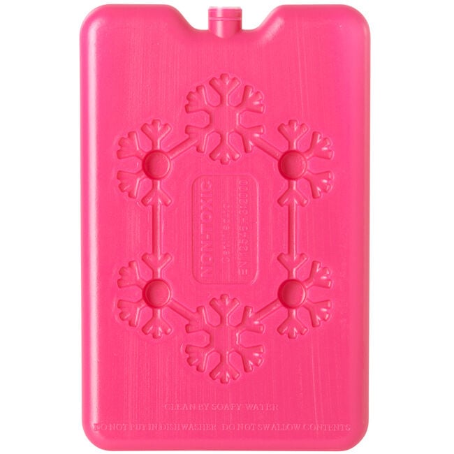 Bloc de glace 200 ml