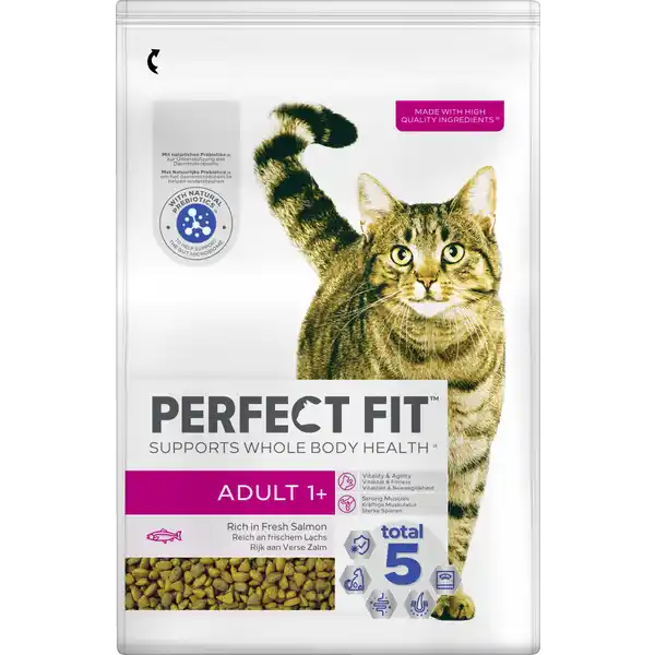Katze Trockenfutter Adult 1+ mit Lachs