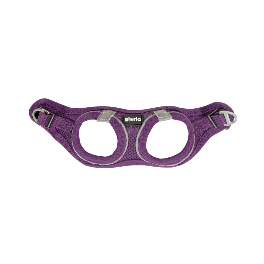 Coleira para cães Gloria Air Mesh Trek Star roxa
