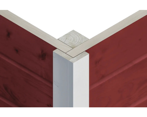 SKAN HOLZ She Shed Almelo paviljoen met vloer, 350 x 303 cm, Zweeds rood