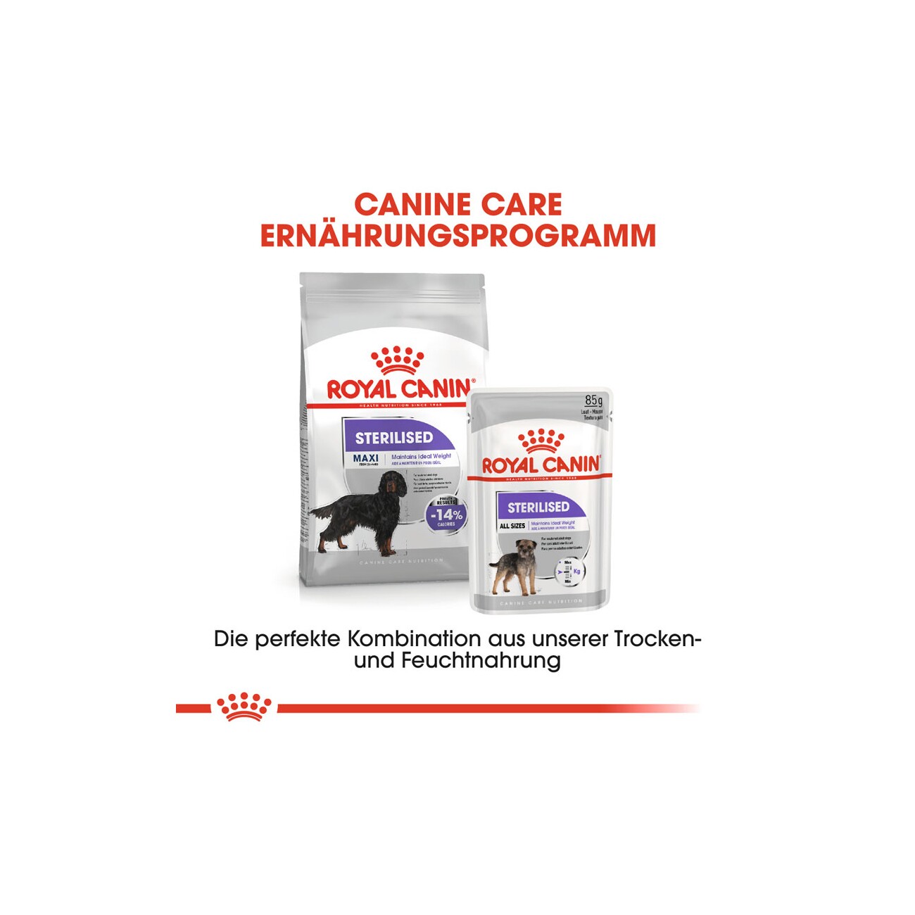 ROYAL CANIN Sterilised Maxi 3 kg