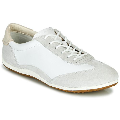 Geox - D VEGA - Blanc / Gris