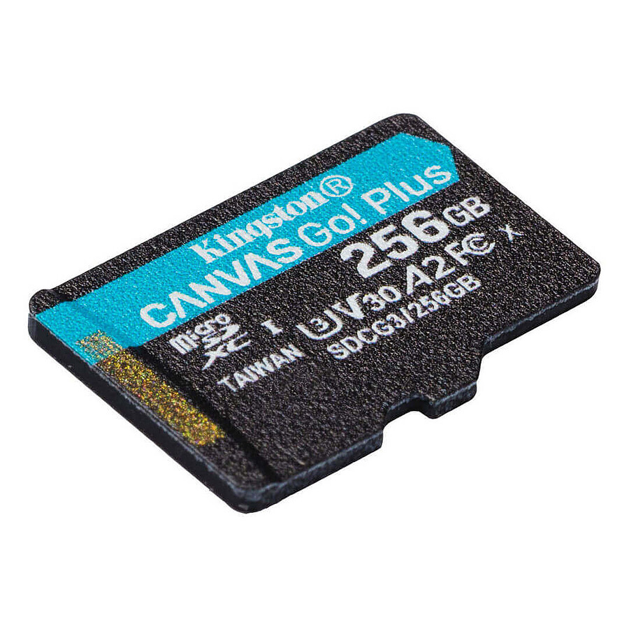 Kingston Canvas Go! Plus SDCG3/256GB